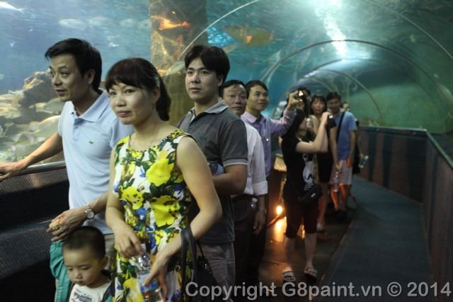 Tri ân khách hàng 2014 - Nha Trang - Đà Lạt
